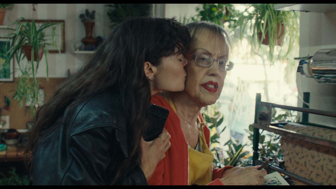 Cardo : Foto Juani Ruiz