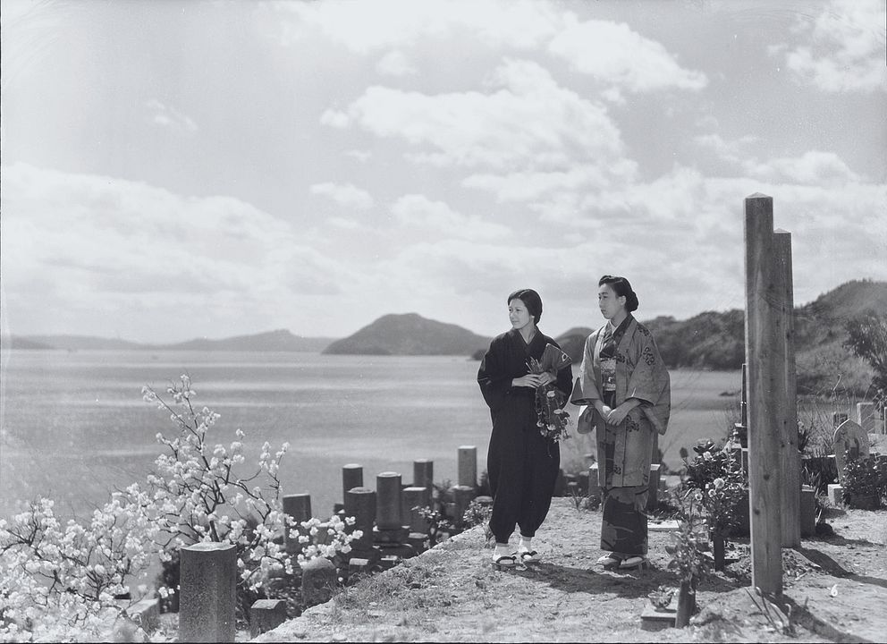 Vingt-quatre prunelles : Foto