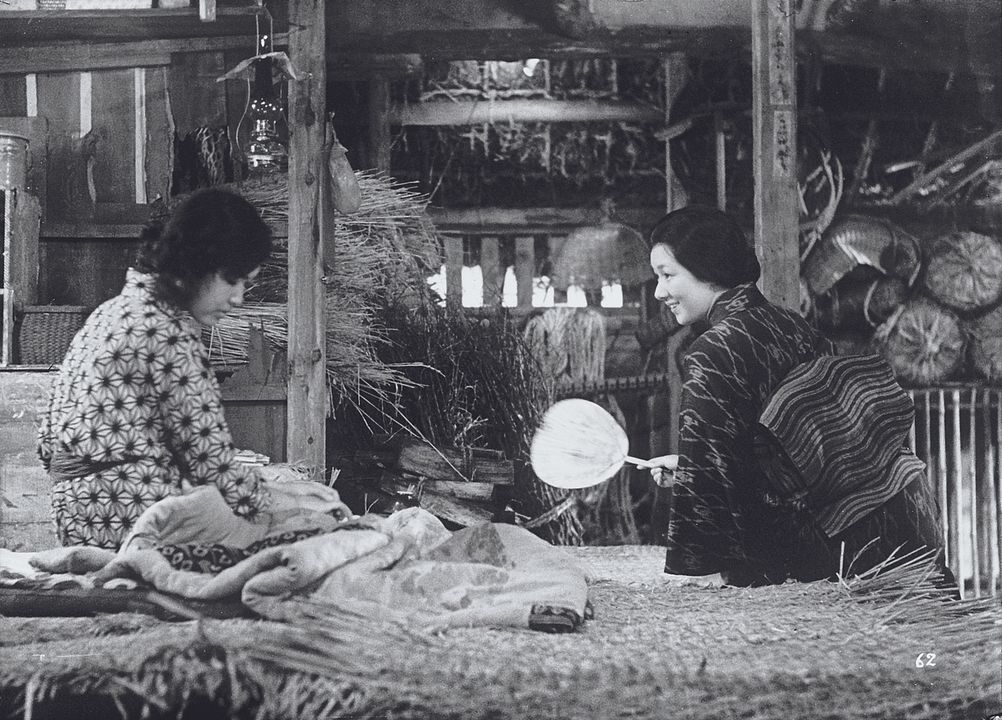 Vingt-quatre prunelles : Foto