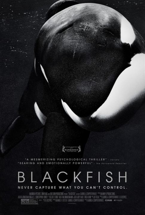 Blackfish : Cartel