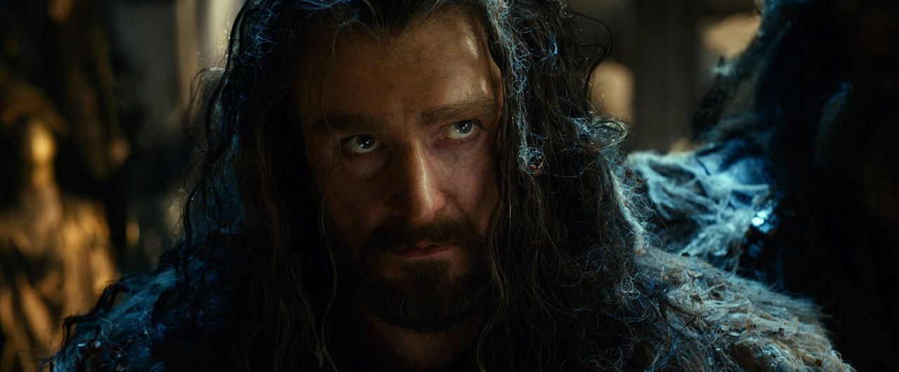 El Hobbit: La desolación de Smaug : Foto Richard Armitage