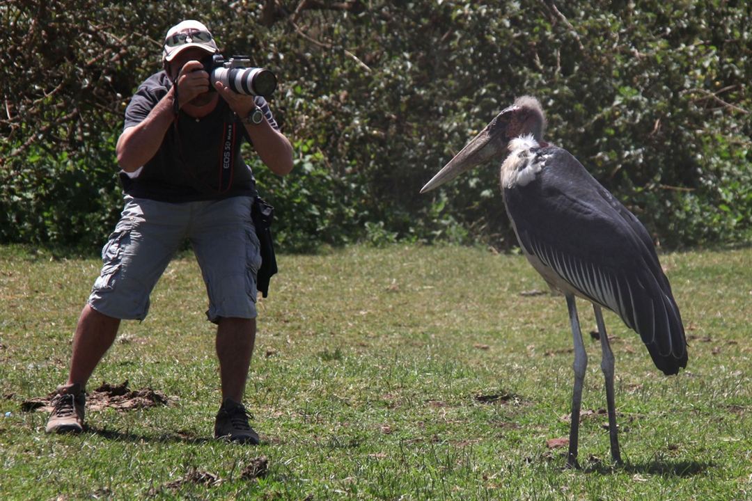 African Safari 3D : Foto