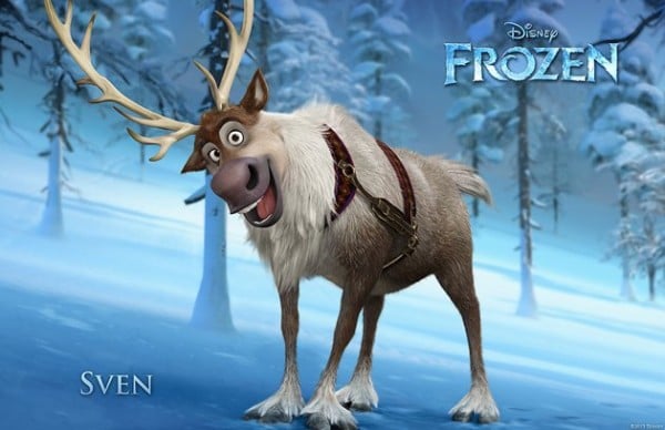 Frozen, el reino del hielo : Foto