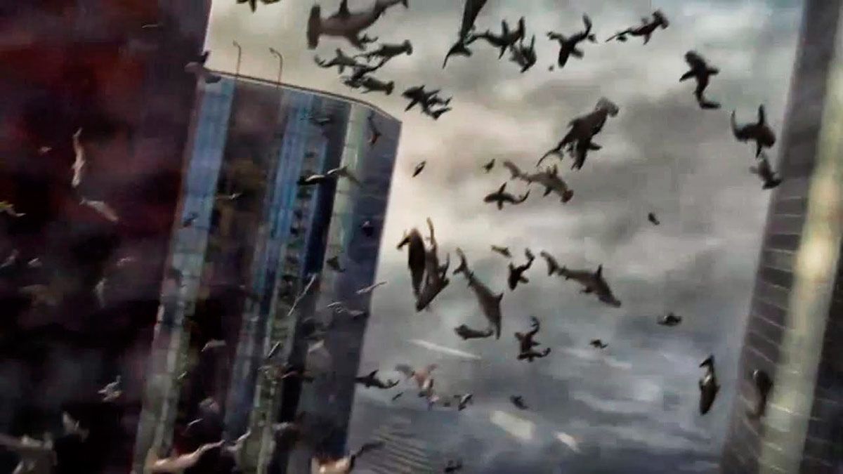 Sharknado : Foto