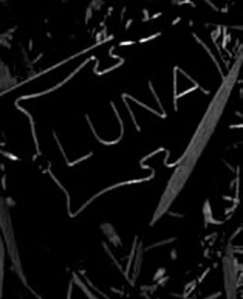 Luna : Cartel