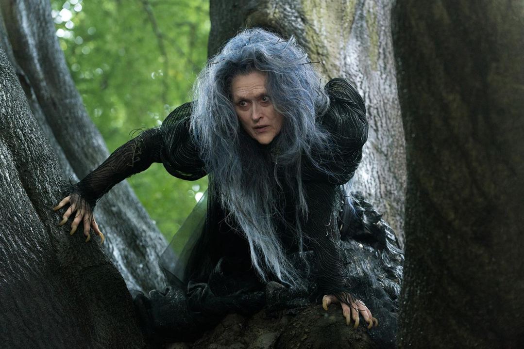 Into The Woods : Foto Meryl Streep