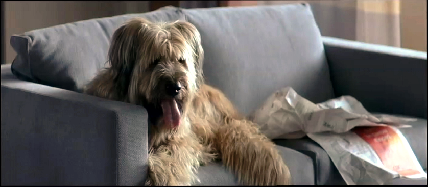 Un marido perfecto : Foto