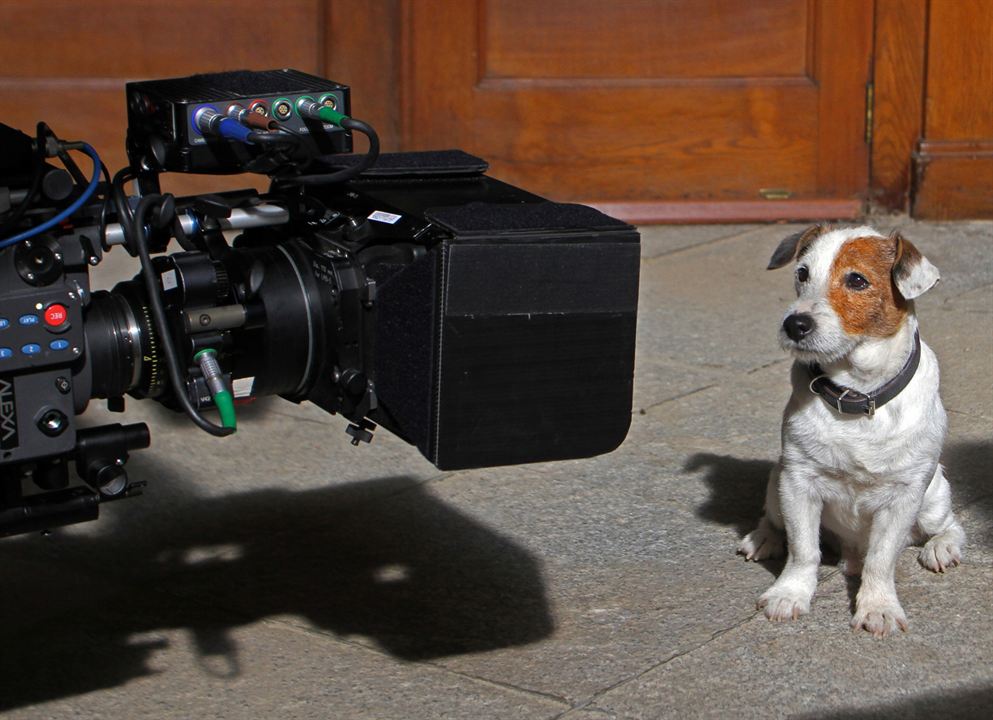 Pancho, el perro millonario : Foto