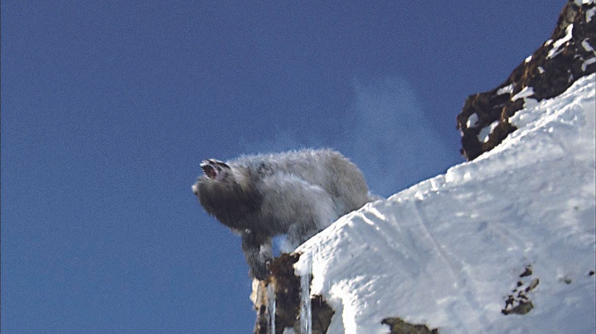 Descenso mortal : Foto