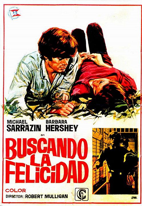 En busca de la felicidad : Cartel