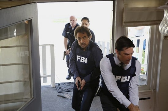 Mentes criminales : Foto Thomas Gibson, Joe Mantegna