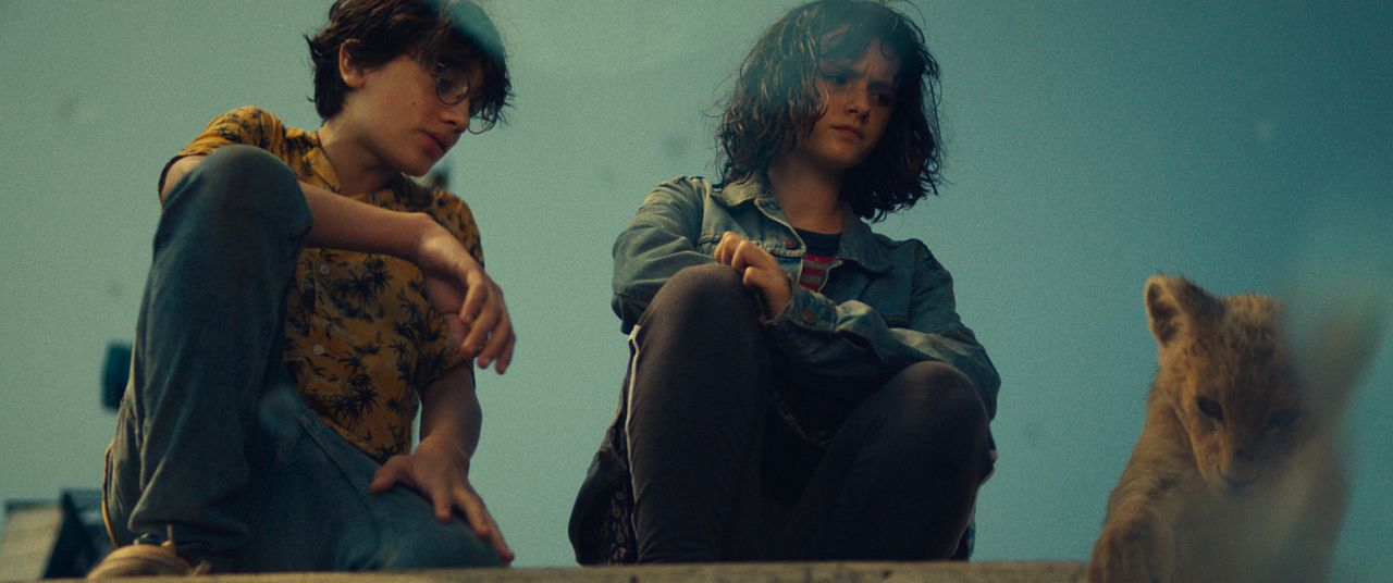 King, mi pequeño rey : Foto