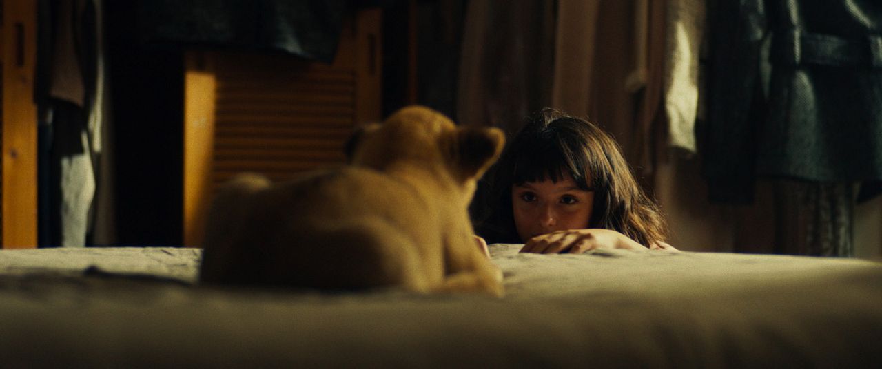 King, mi pequeño rey : Foto