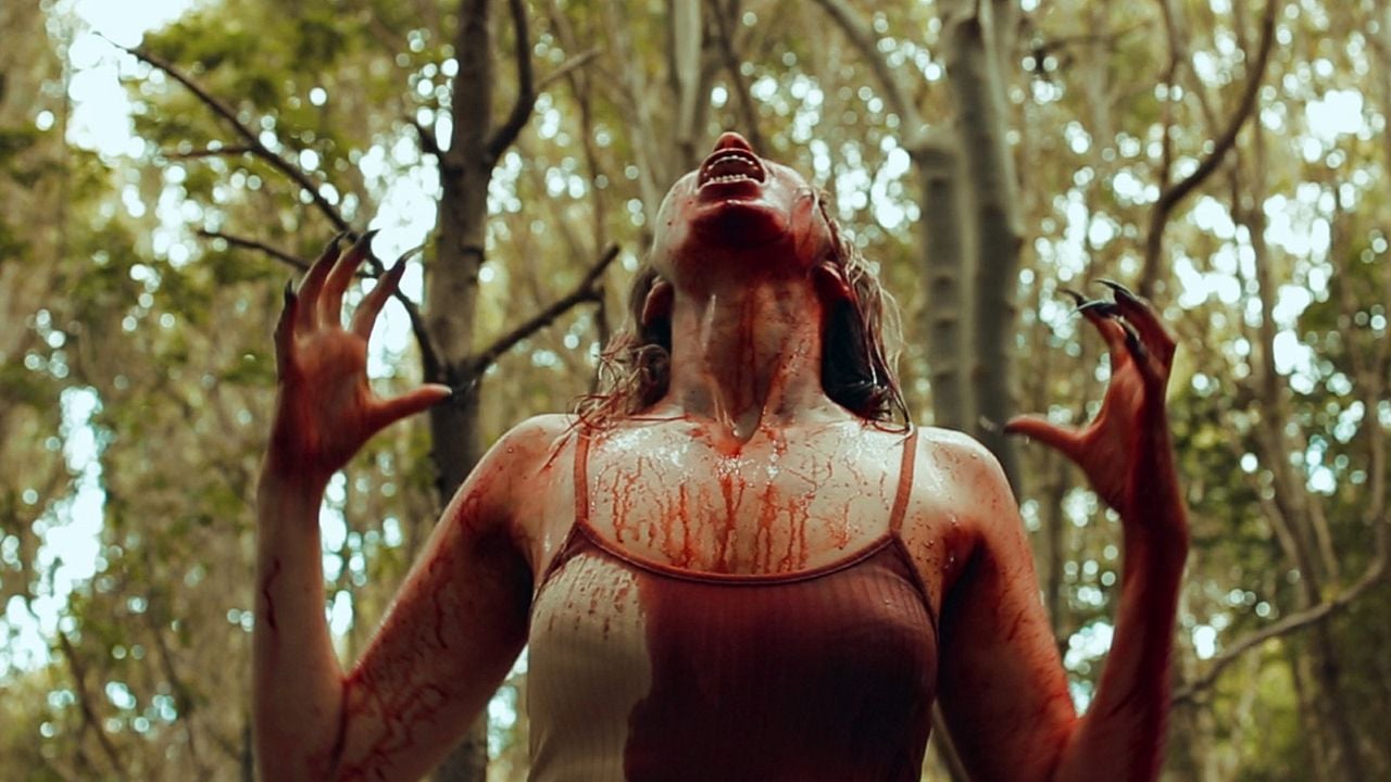 The Witches Of Dumpling Farm : Foto