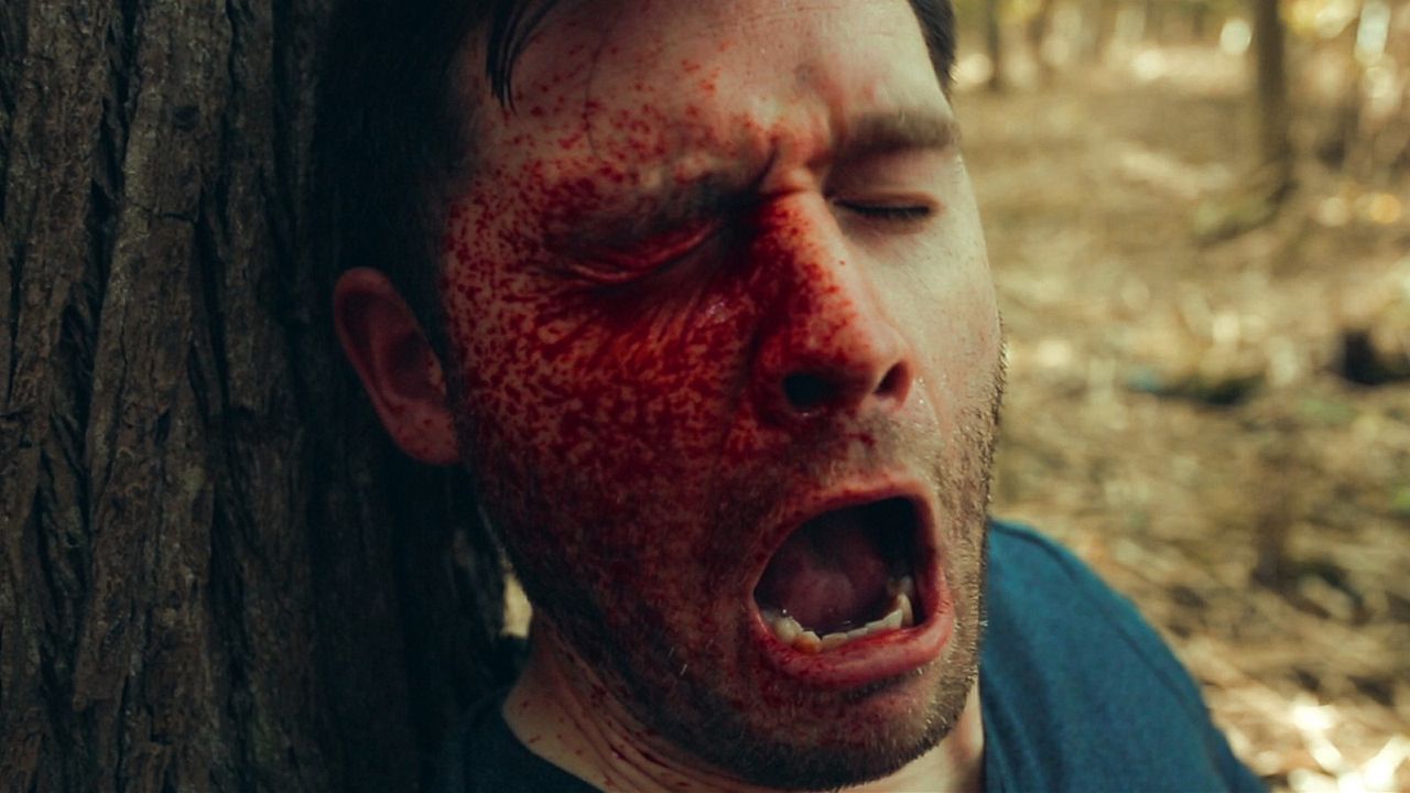 The Witches Of Dumpling Farm : Foto