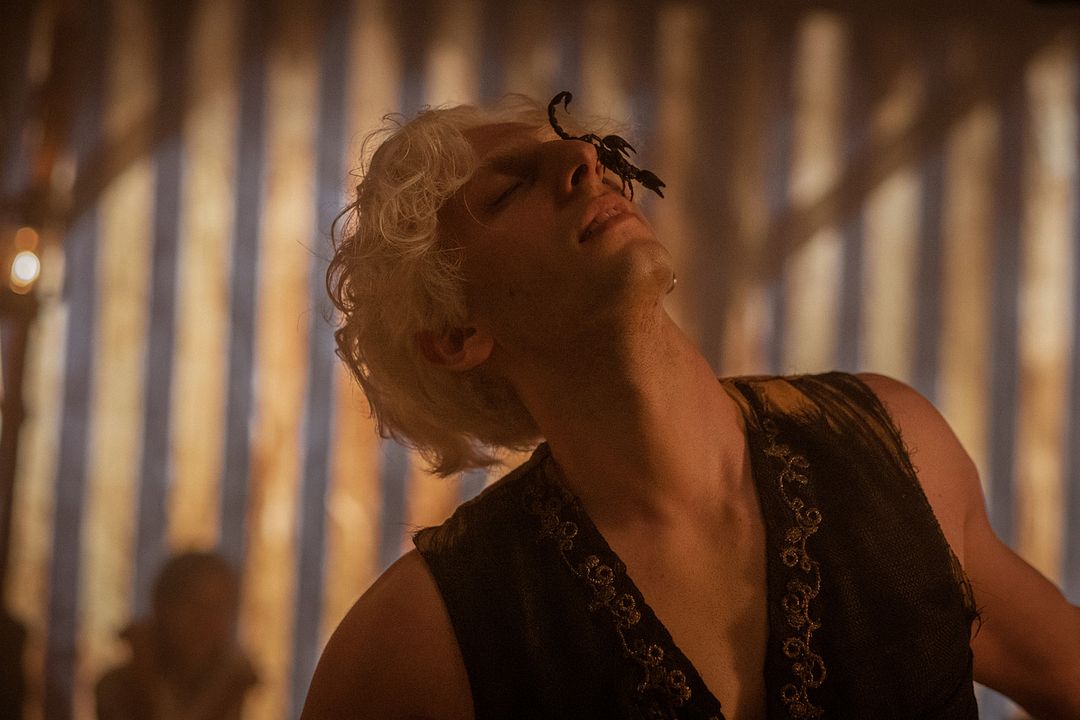 Freaks Out : Foto Pietro Castellitto