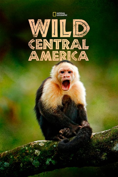 Wild Centroamérica : Cartel
