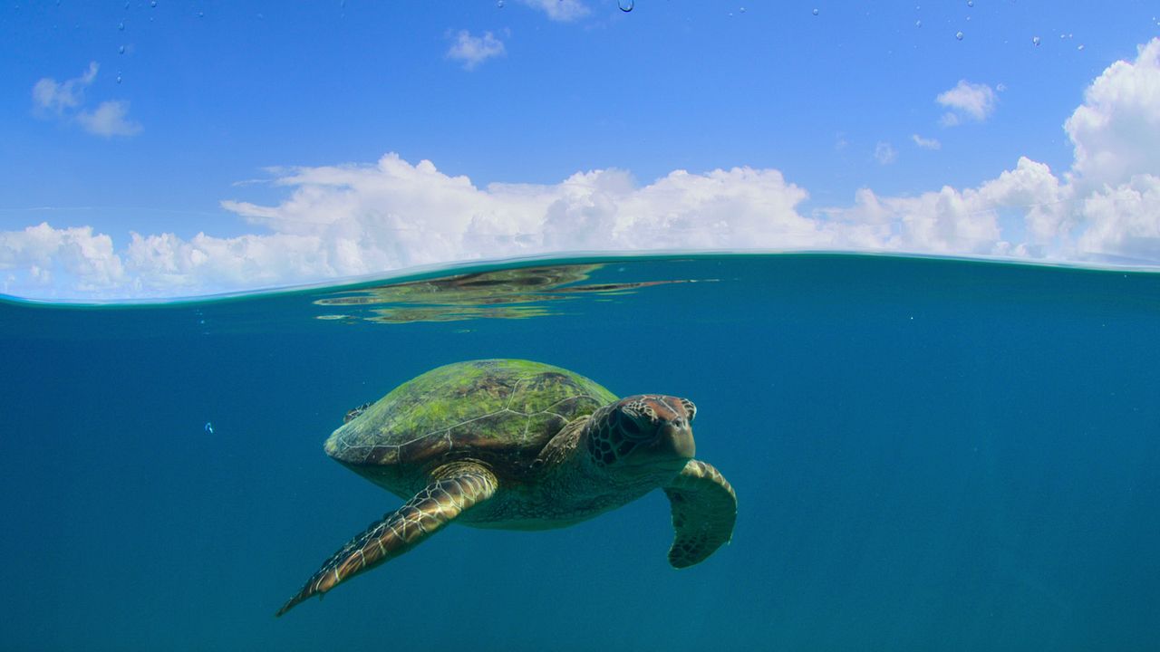 Parques Nacionales majestuosos : Foto