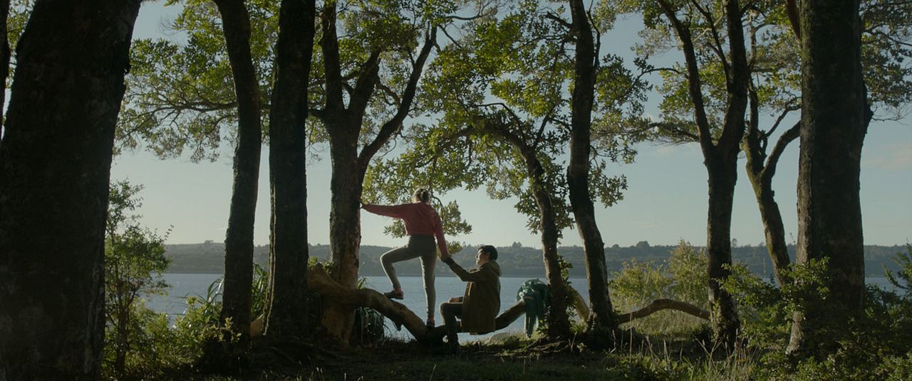 Algunas bestias : Foto