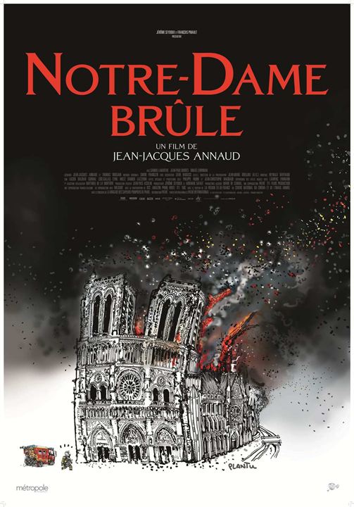 Arde Notre-Dame : Cartel