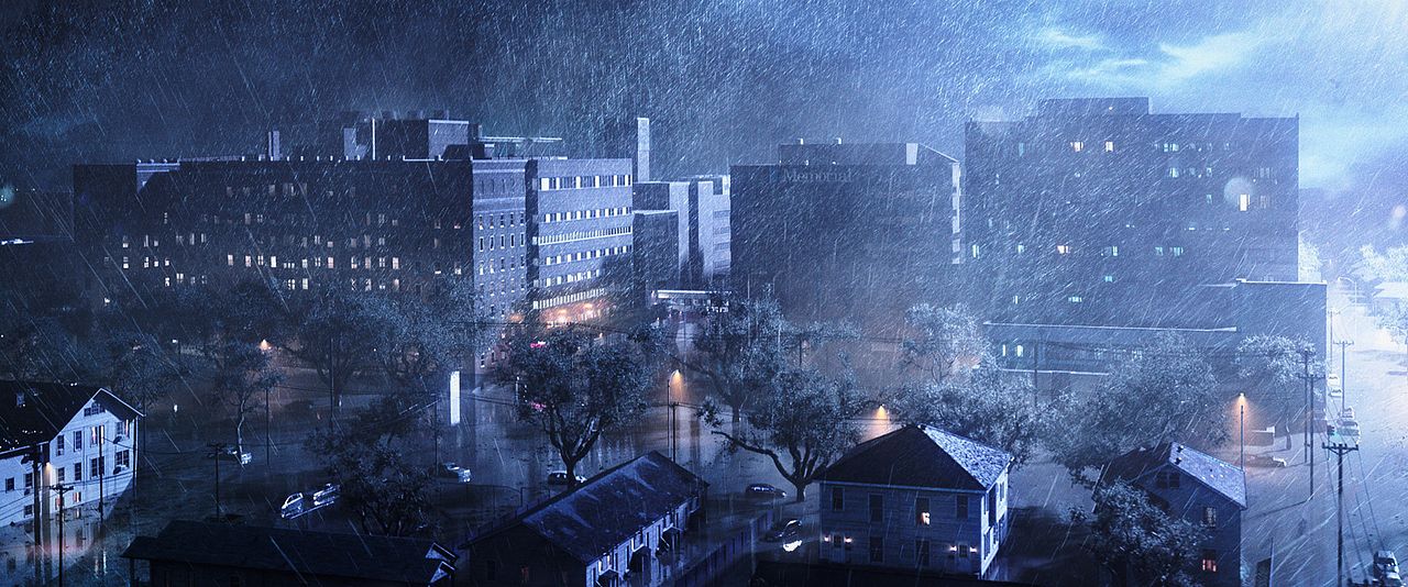 Después del huracán : Foto