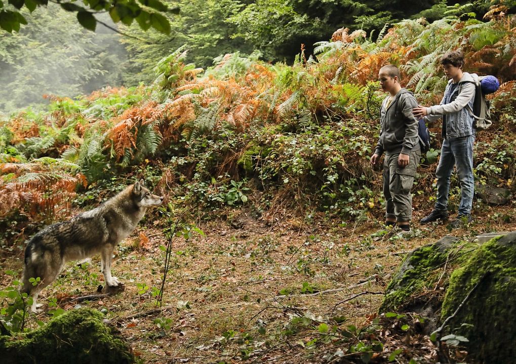 Foto Levi Eisenblätter