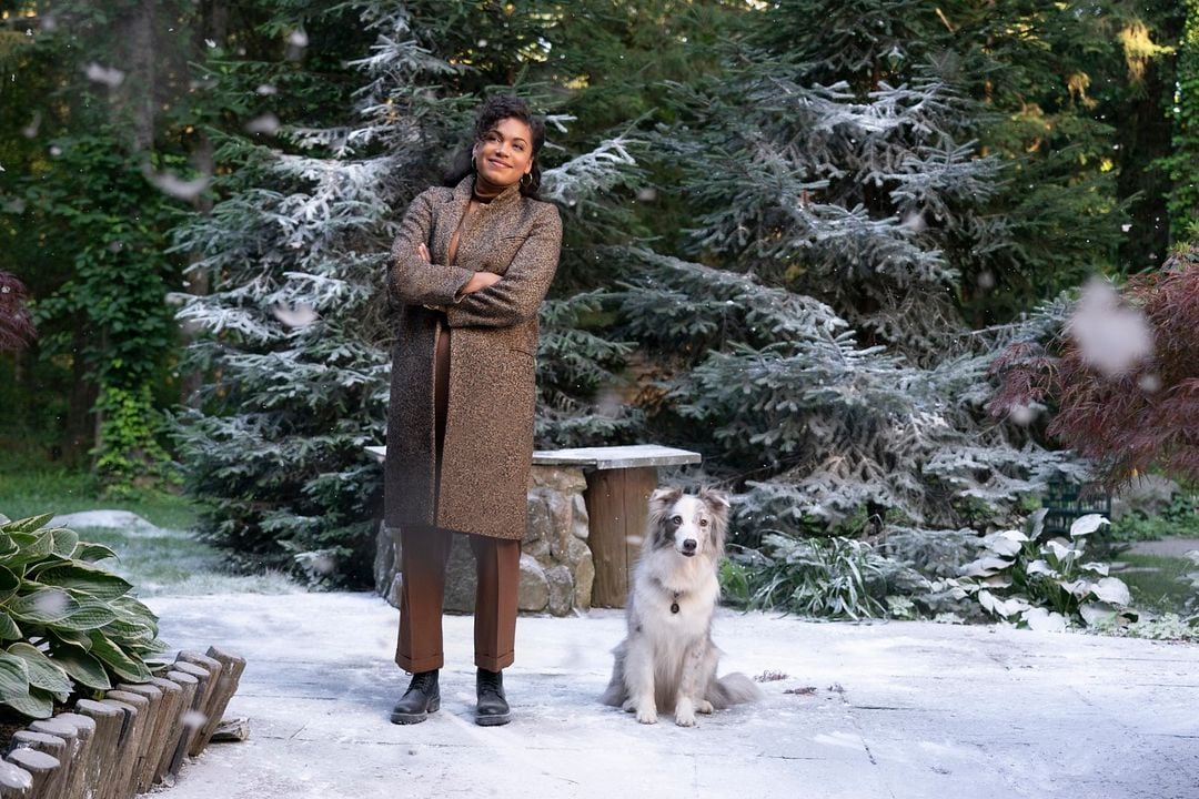 El diario de Noel : Foto