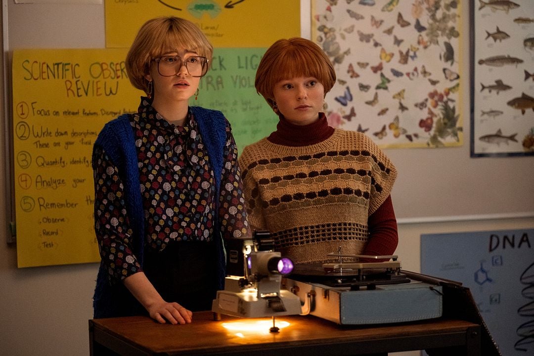 El baile de las luciérnagas : Foto