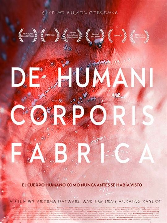 De Humani Corporis Fabrica : Cartel