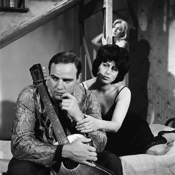 Piel de serpiente : Foto