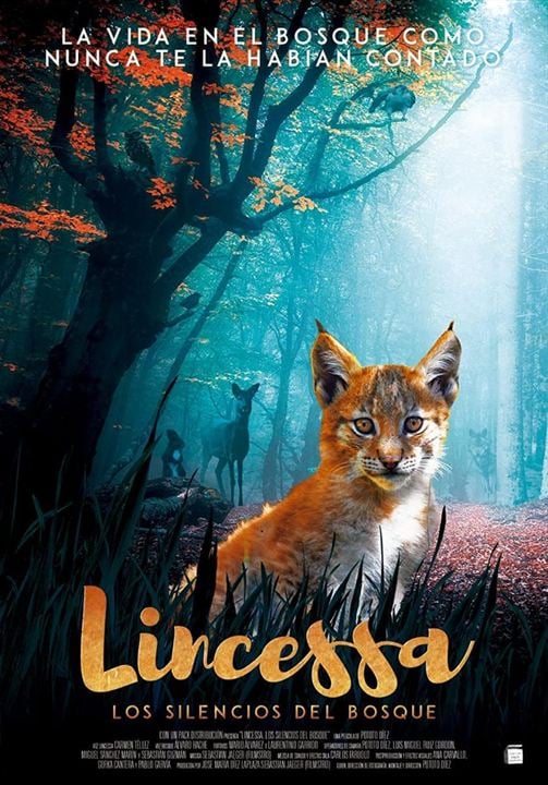 Lincessa. Los silencios del bosque : Cartel