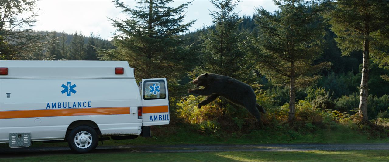 Oso vicioso : Foto