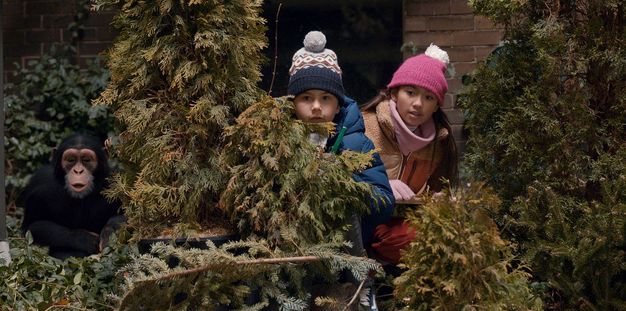 Jane : Foto Ava Louise Murchison, Mason Blomberg