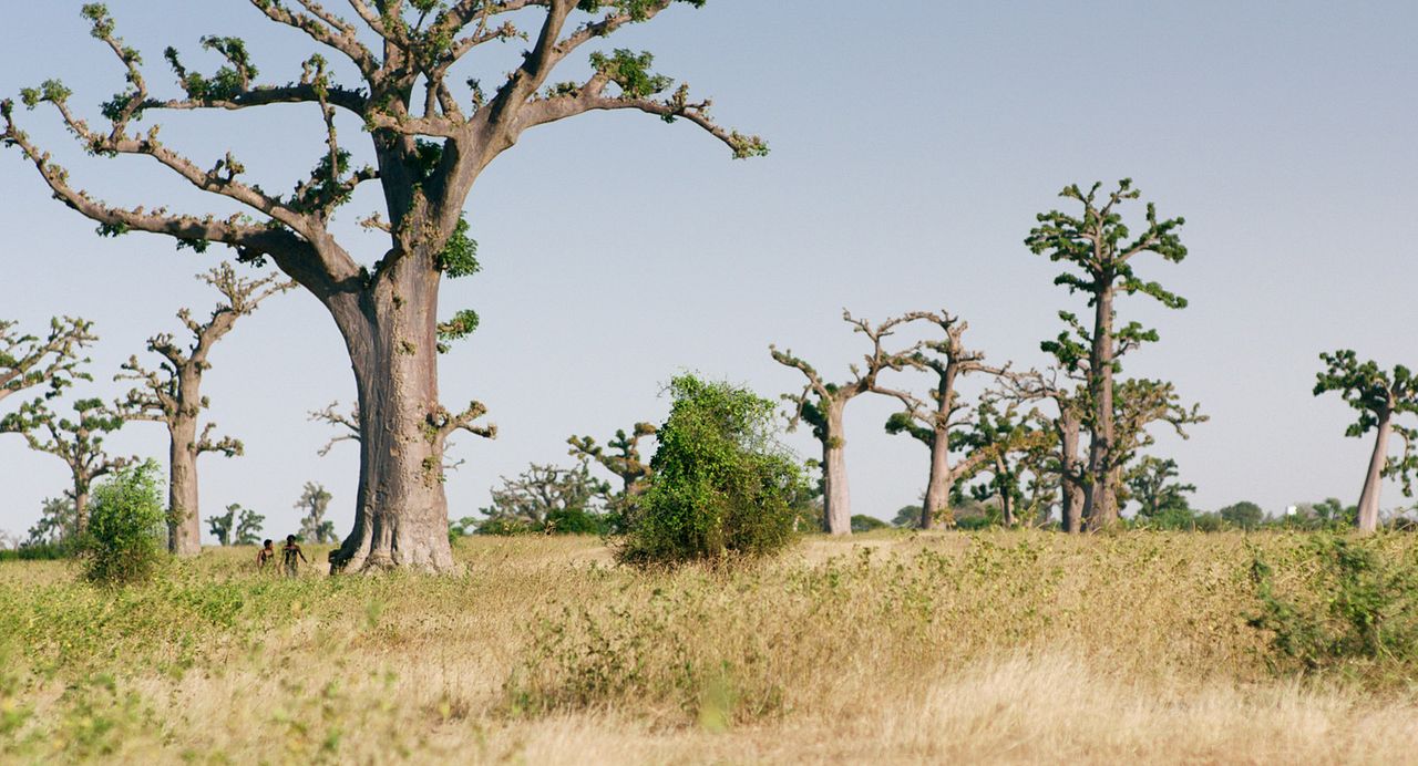 Foto Nadège Bibo-Tansia