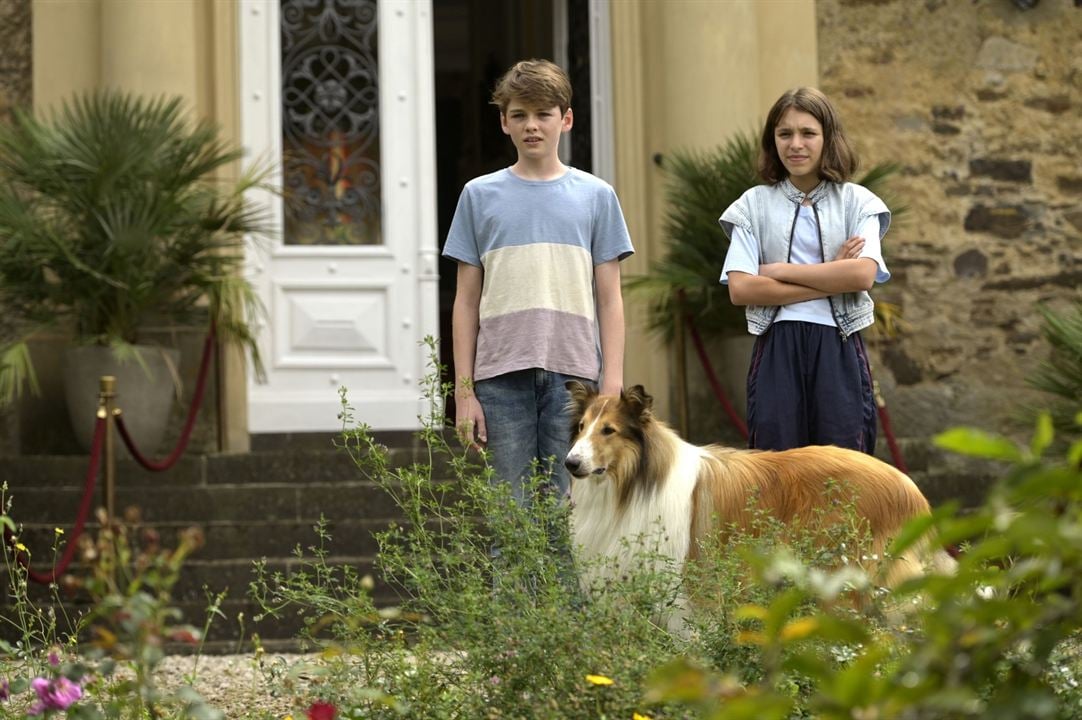 Lassie (Una nueva aventura) : Foto Anna Lucia Gualano, Nico Marischka