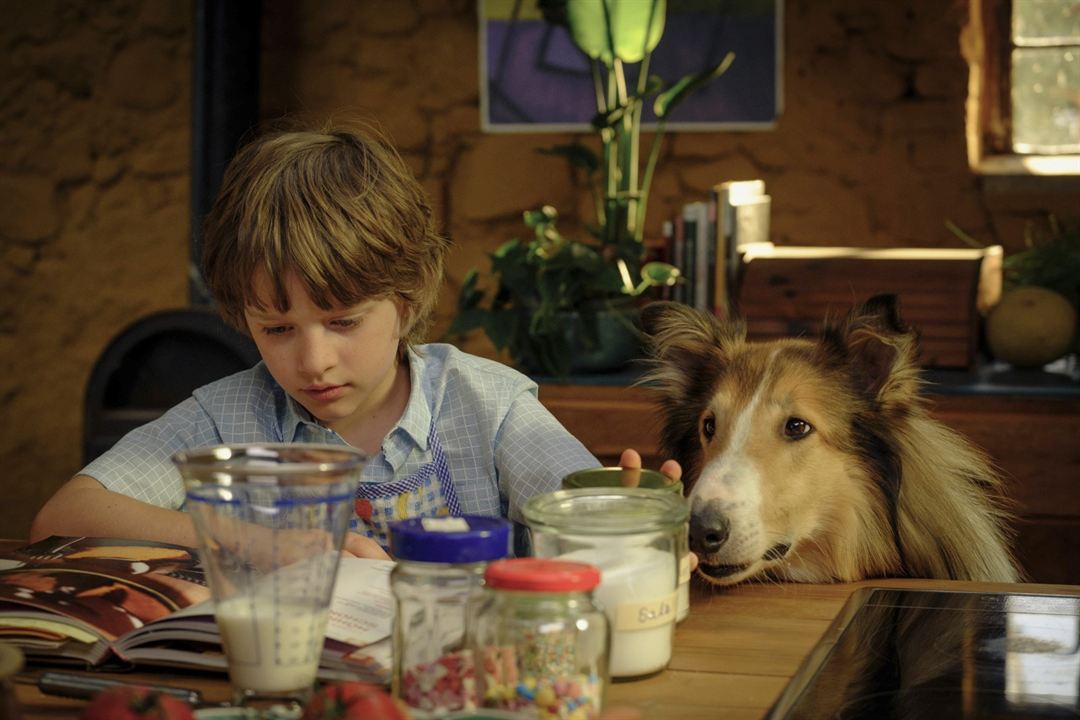 Lassie (Una nueva aventura) : Foto Nico Marischka, Pelle Staacken