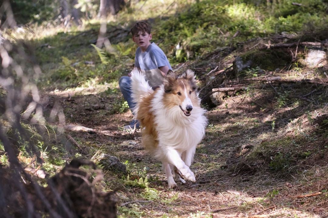 Lassie (Una nueva aventura) : Foto Nico Marischka