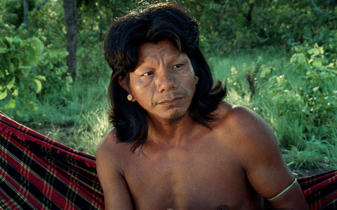 La flor del Burití : Foto