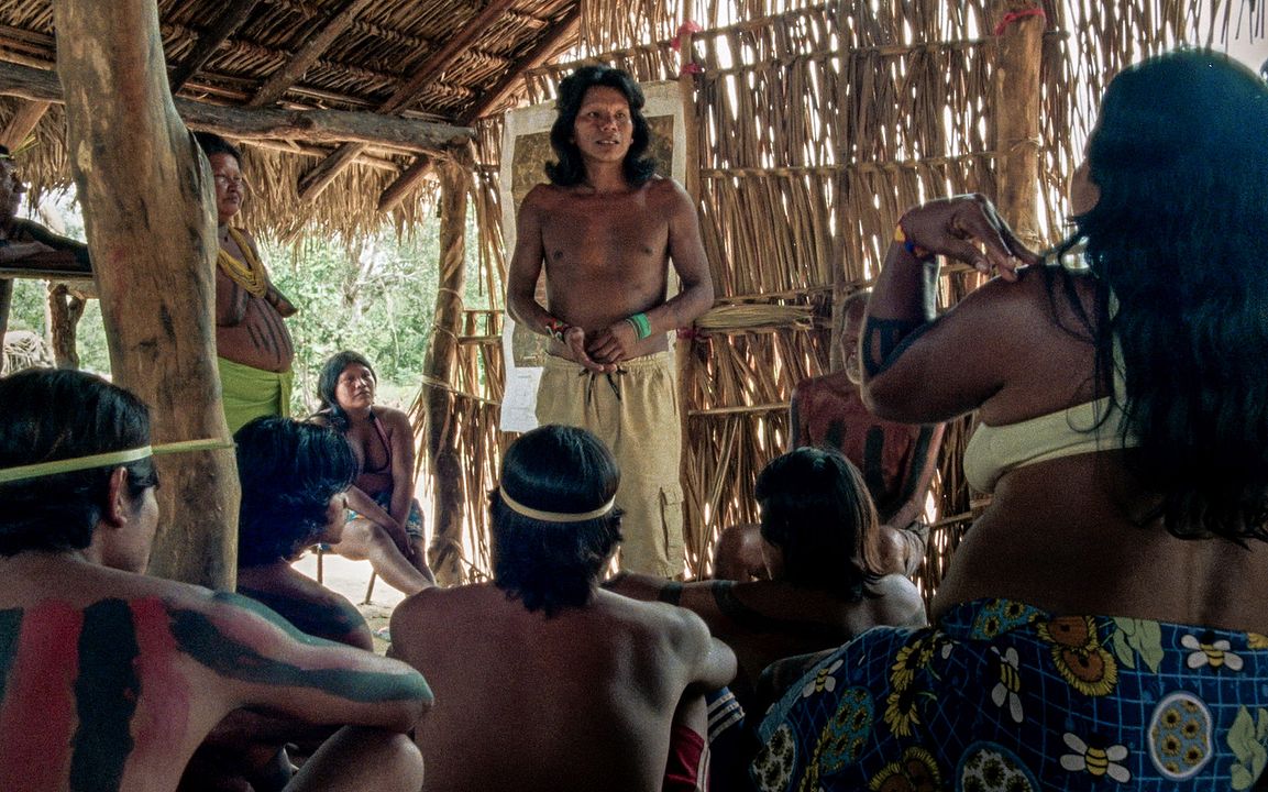 La flor del Burití : Foto