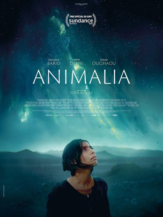 Animalia : Cartel