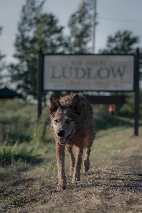 Pet Sematary: Bloodlines : Foto