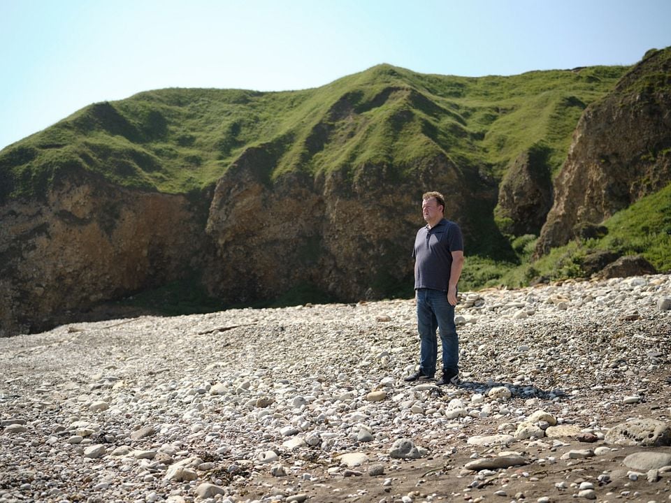 El viejo roble : Foto