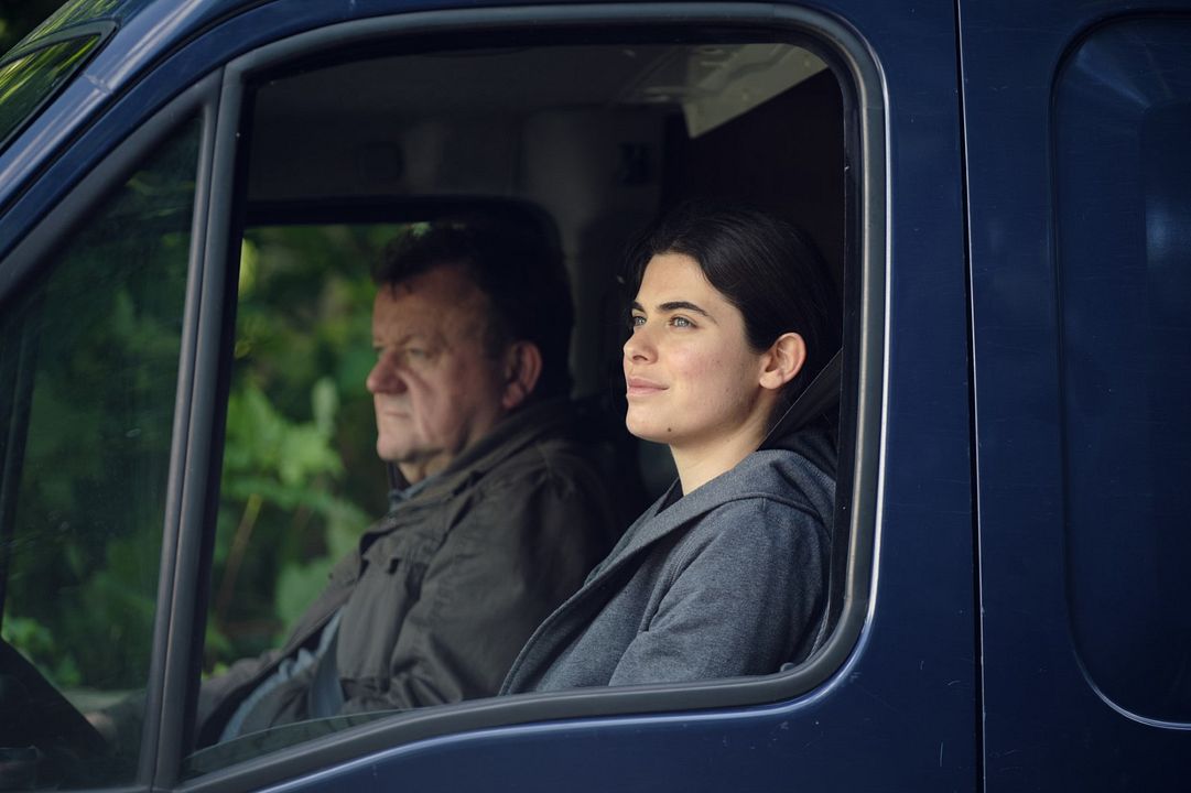 El viejo roble : Foto