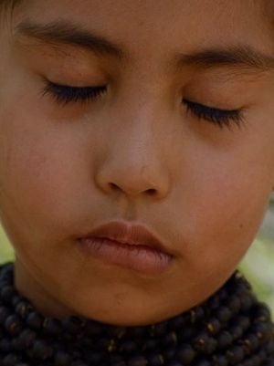 Cartel Anel Picanerai