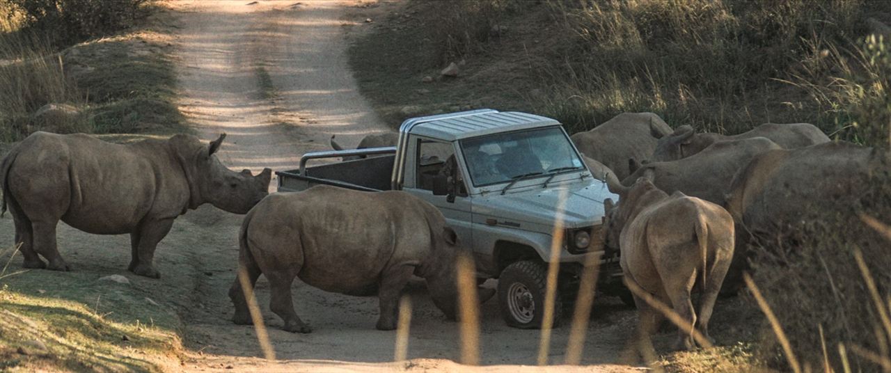 Thabo y el caso del rinoceronte : Foto