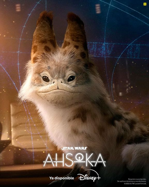 Star Wars: Ahsoka : Cartel