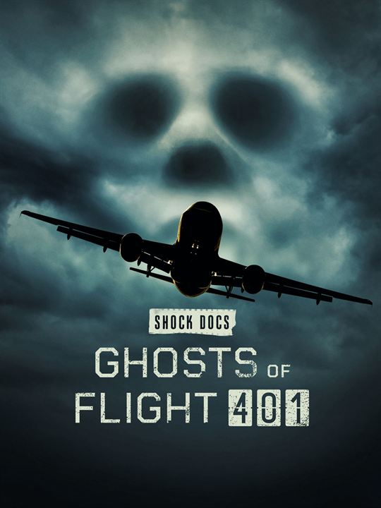 Los fantasmas del vuelo 401 : Cartel