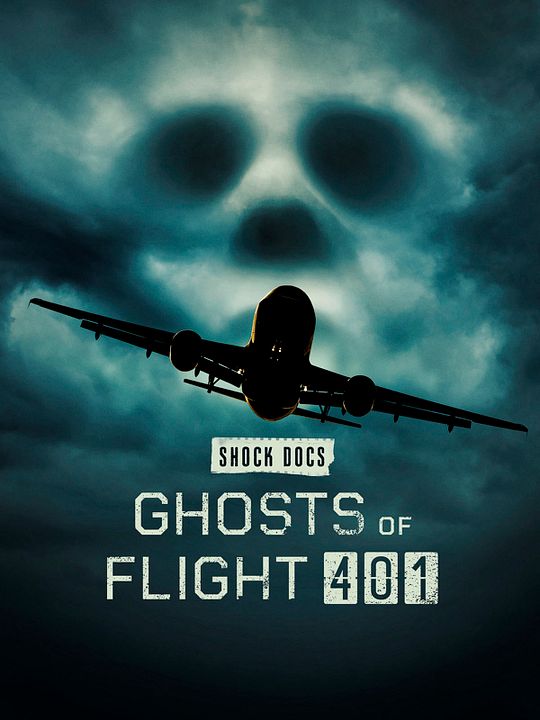 Los fantasmas del vuelo 401 : Cartel