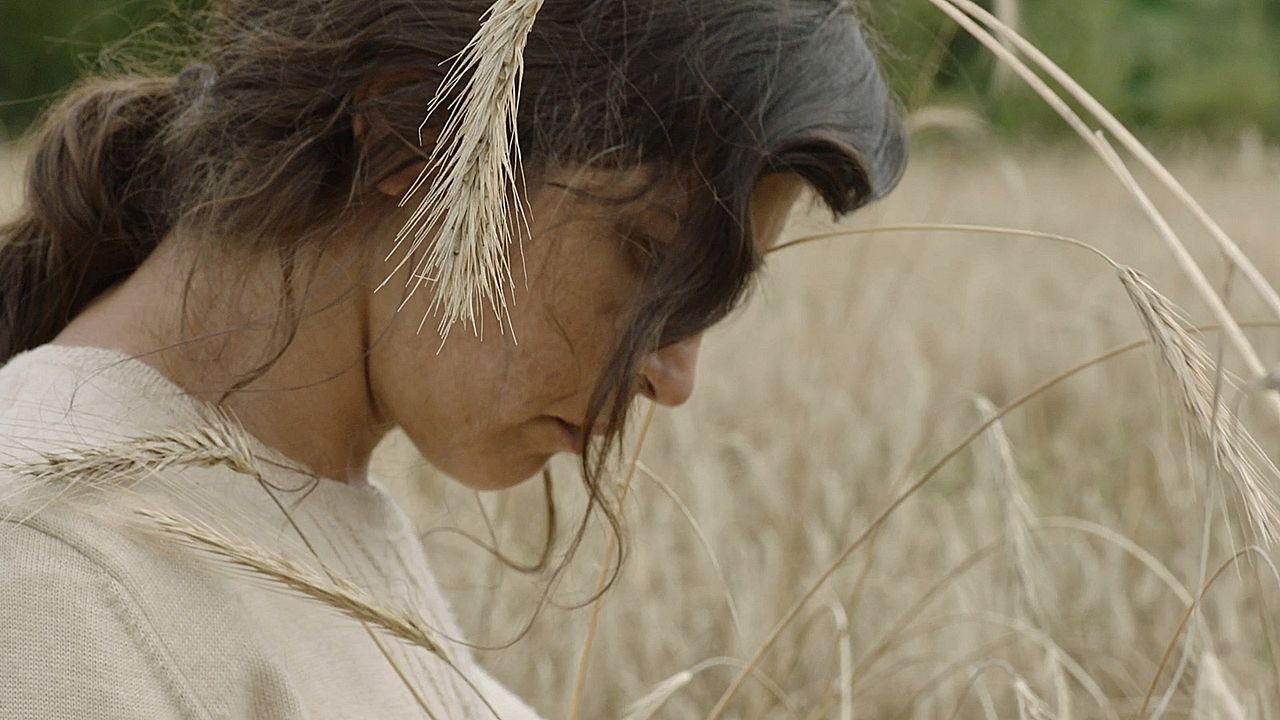 O corno : Foto Janet Novás