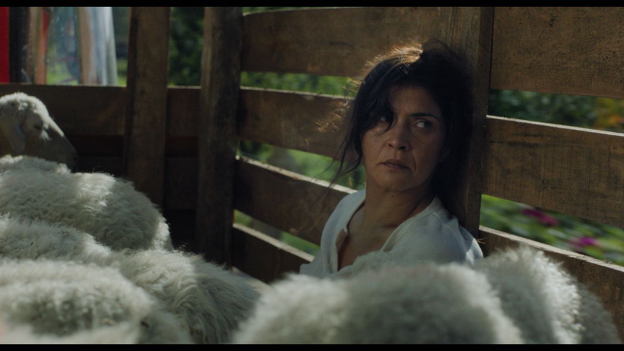 O corno : Foto Janet Novás